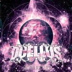 Ocellus