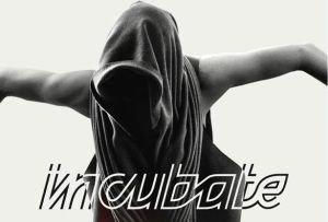 incubate festival 2013 poster