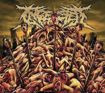 ingested album cover
