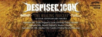 despised icon the healing process 10 year anniversary banner