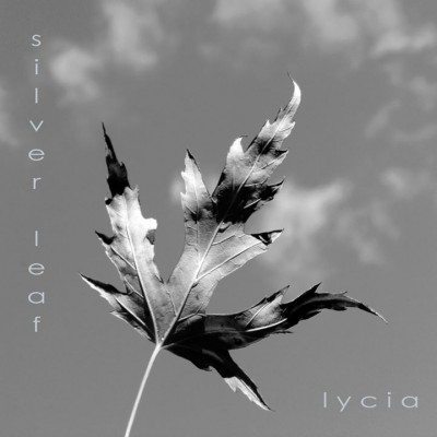 lycia silver leaf
