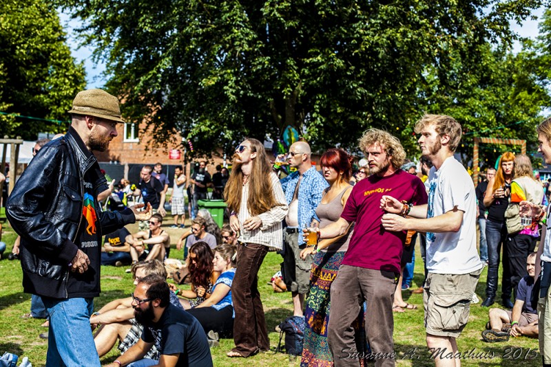 Crowd at Yellowstock 2015, photo by Susanne A. Maathuis