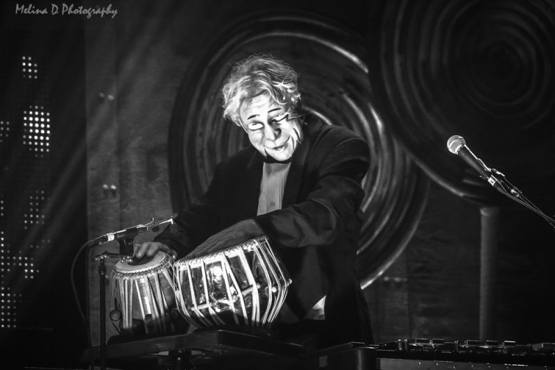  Primus, by Melina D Photography 