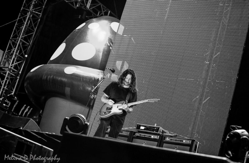 Primus, by Melina D Photography