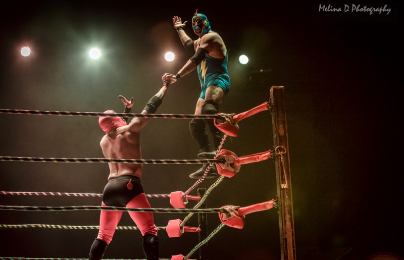 Luchafer, by Melina D Photography