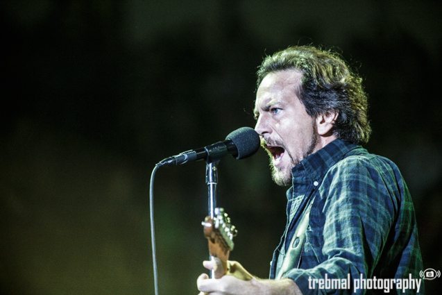Pearl Jam, by Matt Lambert