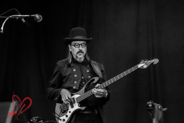 Primus, by Meg Loyal Photography